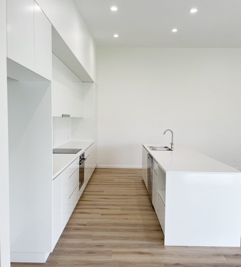 Project Wagtail interior kitchen area.